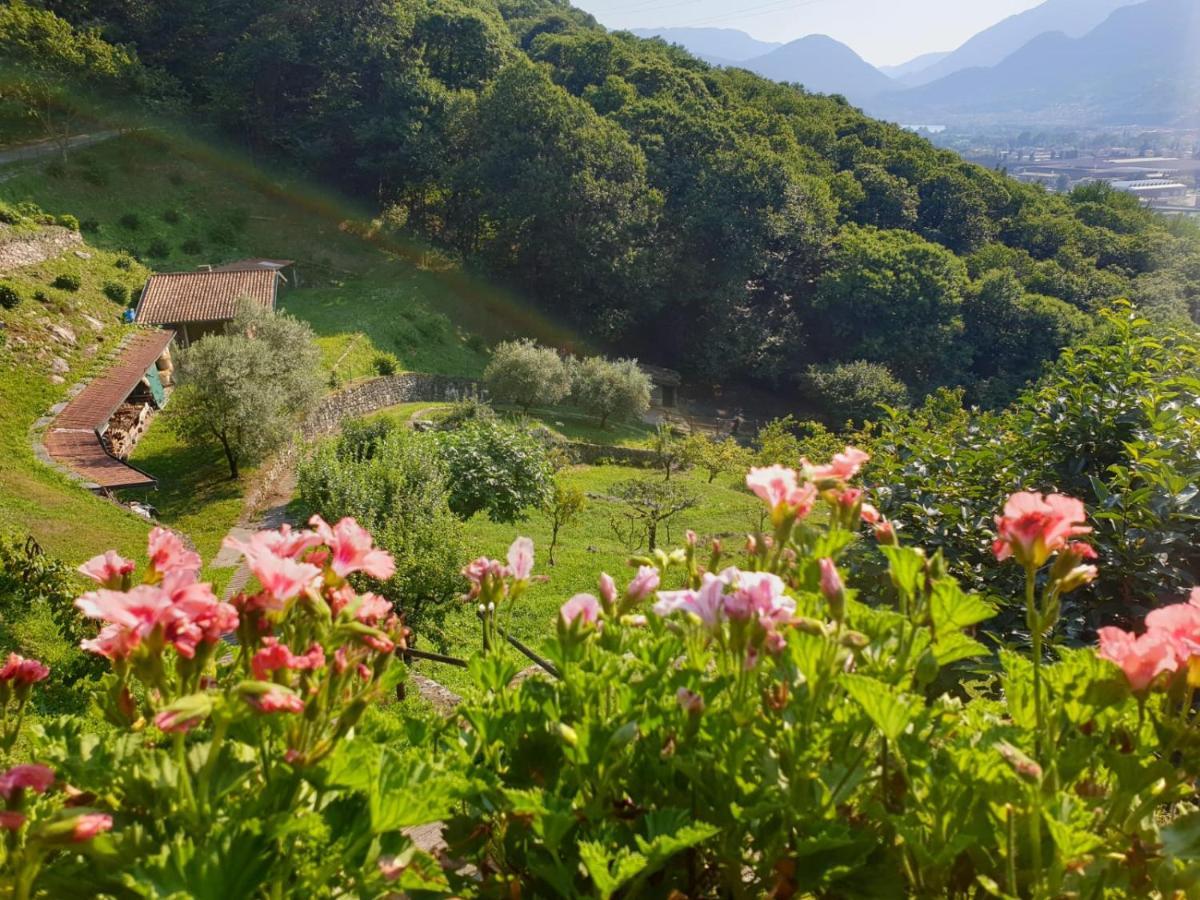 Villa D'Epoca Le Capele Gratacasolo Экстерьер фото